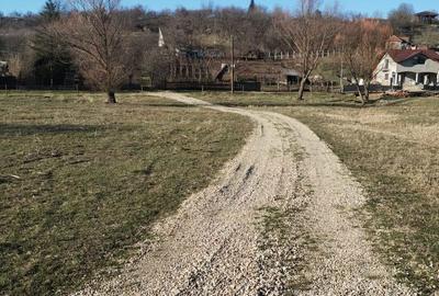 Teren de 1100 mp, în Uileacu de Munte