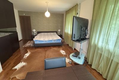 VILA cu specific montan ,Deosebita in Predeal zona Cioplea - 13