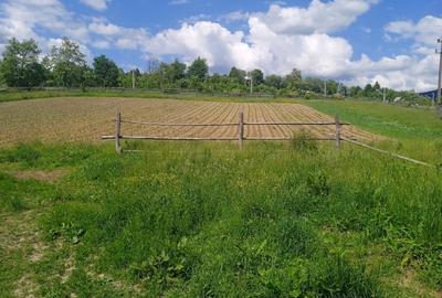 Casă individuală cu 5 camere cu Teren 10000 Mp în Lunca Ilvei - 15