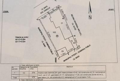 Vila Interbelica 4 Cam. 200 MP | Str. Crinului | Teren 579 MP - 19