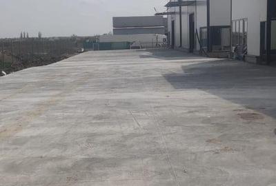 Spațiu comercial, de 540 mp, în Moara Domnească - 5