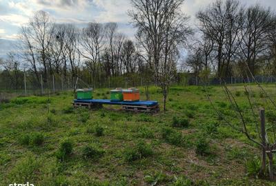 Casă cu 5 camere cu Teren 4000 Mp în Florești - 2