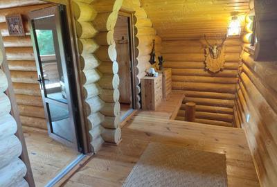 Cabana de lemn Racoasa, judet Vrancea - 10