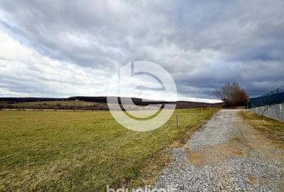 Teren intravilan in Tocile - 4354 m2 - 2 fronturi - oferta competitiva - 12