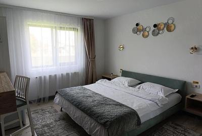 Casă cu 9 camere cu Teren 8000 Mp în Bârsana - 1