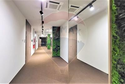 Spațiu birouri de inchiriat 57-127 mp Clasa A Gruia. - 13