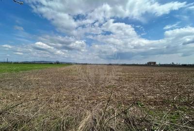 Teren în Central - 3