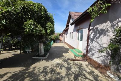 Casa 127 mp + teren 1800 mp, foisor si iaz - Dragasani - 1