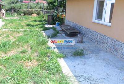 Casă cu 3 camere cu Teren 5000 Mp în Central - 3