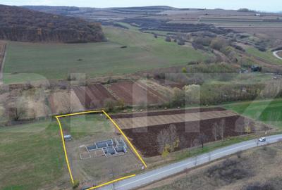 Teren intravilan cu proiect de casa 2600, zona Hapria - 12