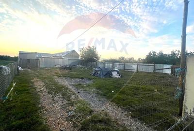 Casa de vanzare 3 camere - com. Letea Veche- sat. Holt - 8