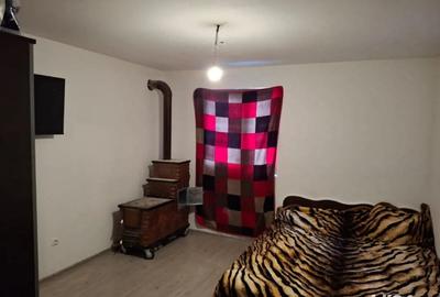 Casă cu 2 camere în Berceni - 1