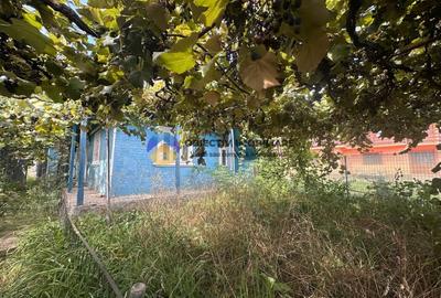 Teren + Casa de Vanzare – 1170 mp – Dumbrava Rosie, Neamt - 3