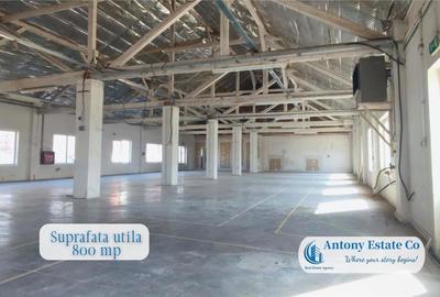 Hala de inchiriat, Depozit, Iosia, Oradea - 1