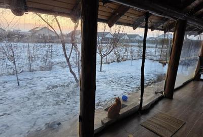 De vanzare vila in Horia - 5