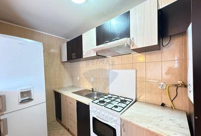 Apartament/Mansarda Gura Humorului OFERTA LUNII - 10