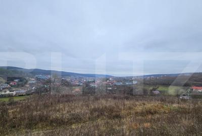 Teren intravilan 4774 mp de vanzare in Livezeni - 5