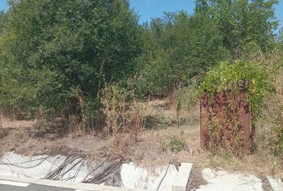 Casă cu 2 camere în Răsmirești - 6