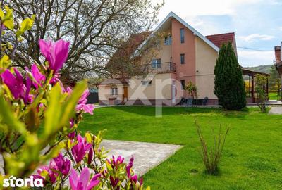 Casă cu 5 camere cu Teren 3659 Mp în Sărata - 13