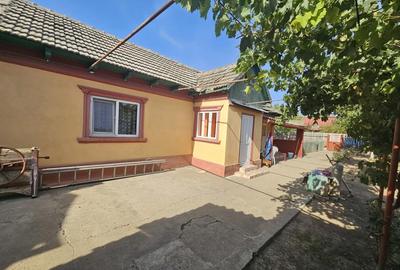 Casă cu 3 camere cu Teren 1420 Mp în Mihail Kogălniceanu - 3