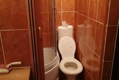 Garsonieră decomandată în Buziașului