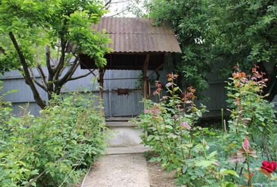 Casă individuală cu 4 camere cu Teren 4000 Mp în Parava - 6