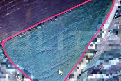 Oportunitate! De vanzare teren intravilan 5800mp in Dezmir! - 1