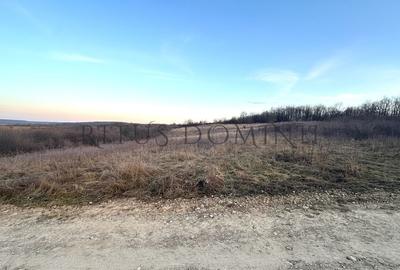 Teren Construcții intravilan de 8592 mp, în Paleu - 1