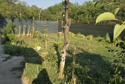 Casă cu 3 camere cu Teren 2700 Mp în Ciurari - 2