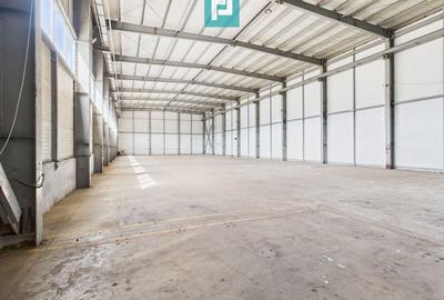 Hală industrială cu pod rulant de 3 tone în Arad - 9