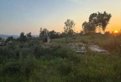 Casă cu 2 camere în Buteni - 7