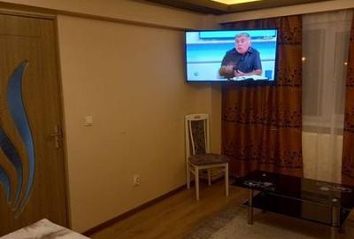 Garsonieră în Terezian - 4