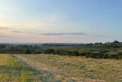 Teren de 6500 mp, în Bălnaca - 3