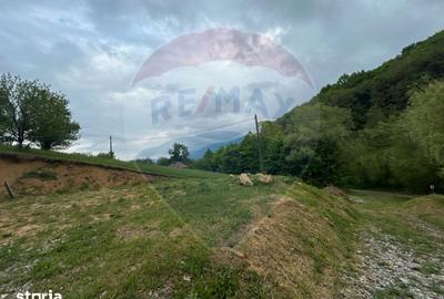 Teren de 2000 mp, în Copalnic - 3