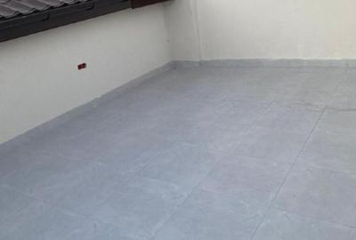 Vand casa recent renovata - Zona Domenii-Caraiman - Curte si terasa etajata - 11