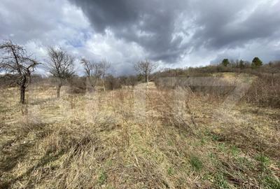 Teren intravilan in suprafata de 2000 mp, zona Episcopiei - 3