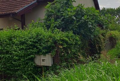 Casa individuala de vanzare in Dumbravi?a - 3