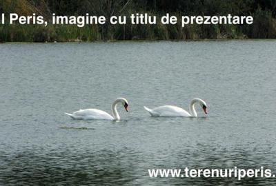 Terenuri IN RATE 500 /luna, teren 25 langa Saftica, Balotesti - 2