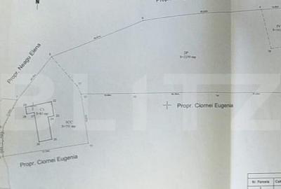 Casa batraneasca cu teren de 6700 mp intravilan, Ipatele Casa batraneasca cu teren de 6700 mp intravilan, Ipatele - 10