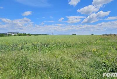 Teren extravilan Tancabesti - 1