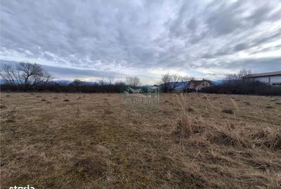 Teren de 679 mp, în Central