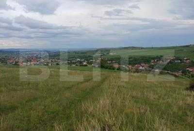 Teren de 1249 mp, în Copăceni - 4