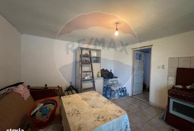 Casă cu 2 camere cu Teren 1172 Mp în Bodrogu Nou - 7