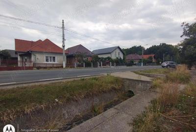 Teren de 1617 mp, în Lăpuș - 4