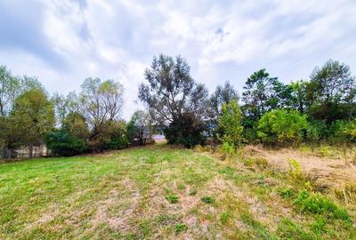 Teren 1,4 hectare Draganu Arges - 5