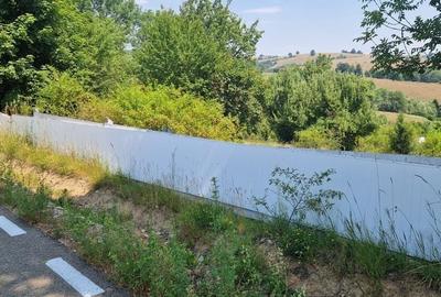 Teren intravilan 4.568 mp, 2 fronturi – Brebu Nou, Caraș-Severin - 3