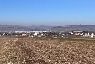 Teren de 8700 mp, în Jucu