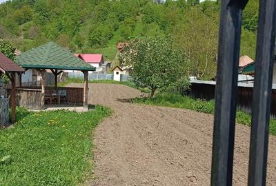 Teren de 900 mp, în Mănăstirea Cașin - 1