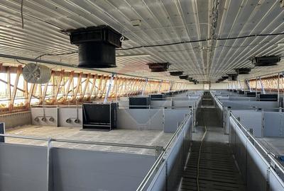 Ferma porcine la cheie - 6