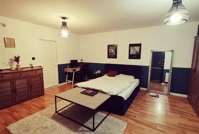 Garsonieră decomandată în Vișan - 1